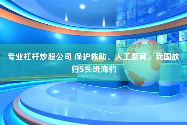 专业杠杆炒股公司 保护救助、人工繁育，我国放归5头斑海豹