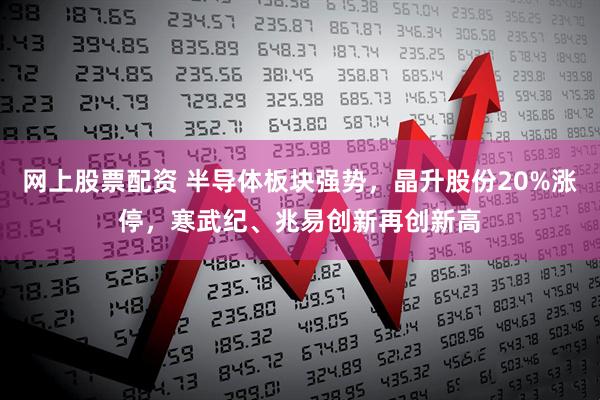 网上股票配资 半导体板块强势，晶升股份20%涨停，寒武纪、兆易创新再创新高
